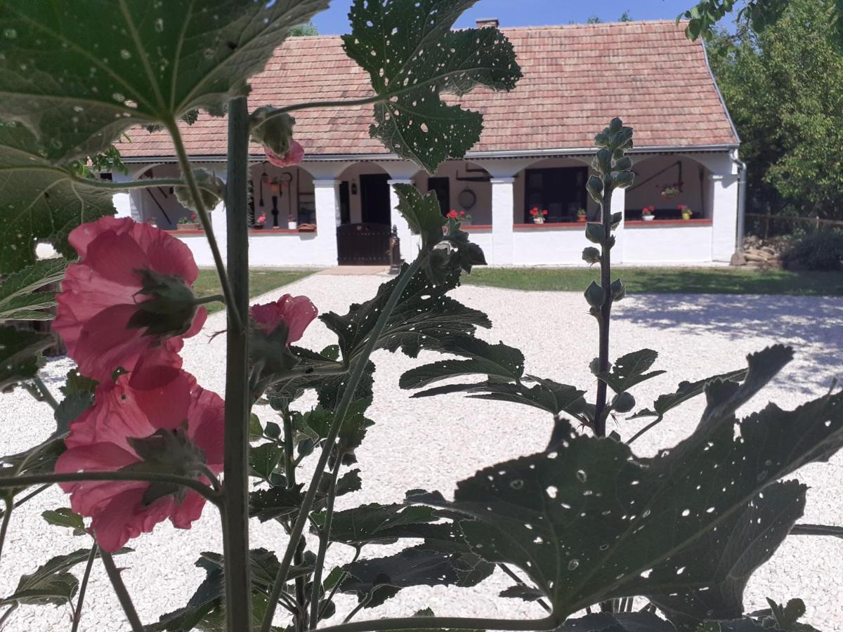 Letunt Idok Vendeghaz Villa Kemenesmihalyfa Bagian luar foto
